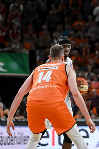 今年夏窗支 今年夏窗支