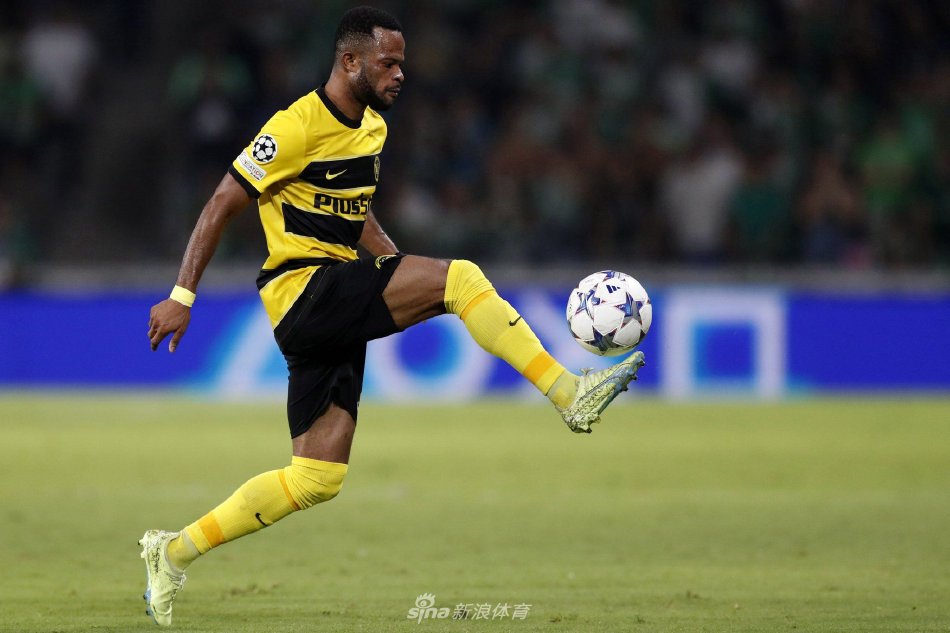 团队的一种 团队的一种